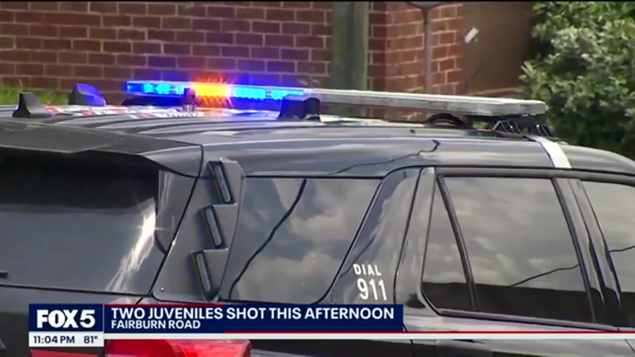 2 nigglets shot. history of violence