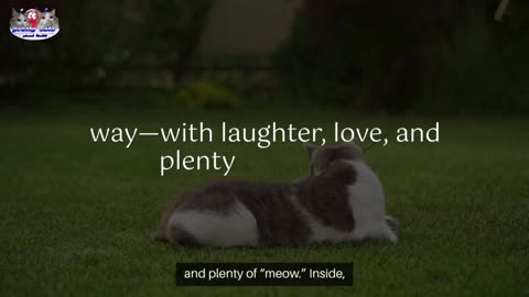 The Ultimate Funny Guide to Raising Cats – Written in Meow! 🐾😂
