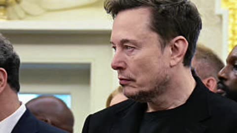 Elon Musk Reaction to South African President Cyril Ramaphosa