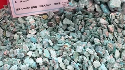250603-8 The Original Turquoise Rough: Time's Palette Hidden in Stone