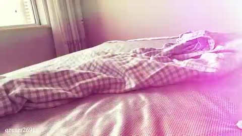 Funny cat's 😁 😂