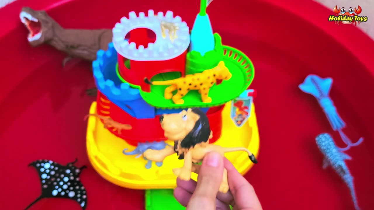 Giraffes Help Sheep to Eat by Looking for High Leaves