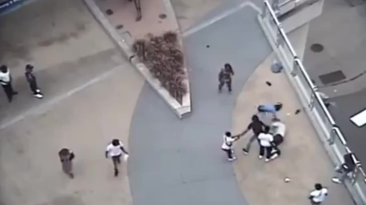 Race realism 1 - 10 black teenagers attack a white teenager