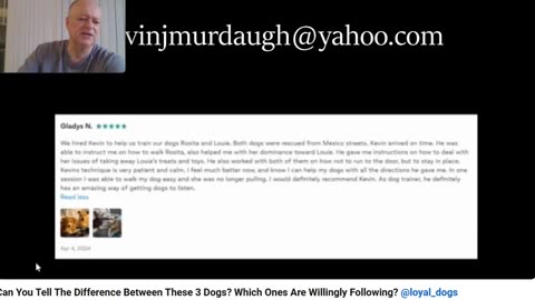 Christmas Bonus Series - The Anti Dog Trainer Off Leash Breakdown - Pt 1