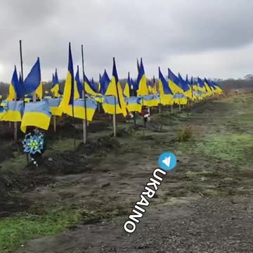 Ukrainian is winning