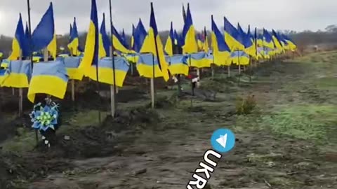 Ukrainian is winning