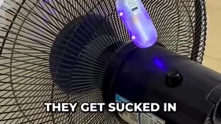 He Made A Genius Trap For Mosquitoes! 😂
