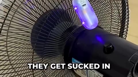 He Made A Genius Trap For Mosquitoes! 😂