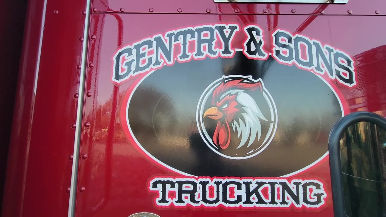 SECRETLY FILMING TIM GENTRY'S ROOSTER in SWEETWATER, TN
