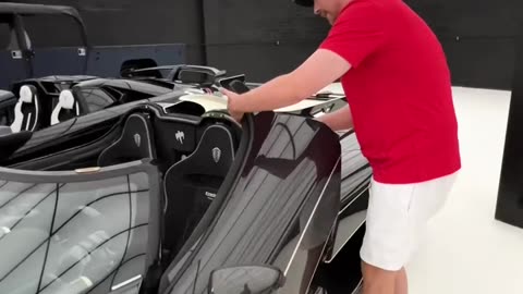 $100,000 vs 100,000,000 car door!!!!