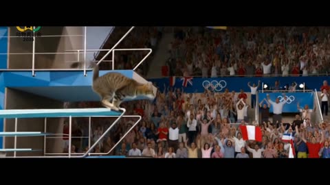 "Kitty Jump Olympics"
