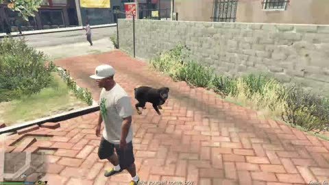 gta 5 story mode
