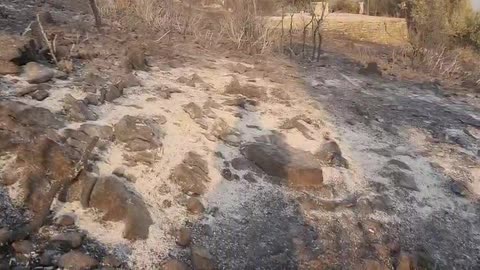 Fshati Senice shkrumb e hi (2)