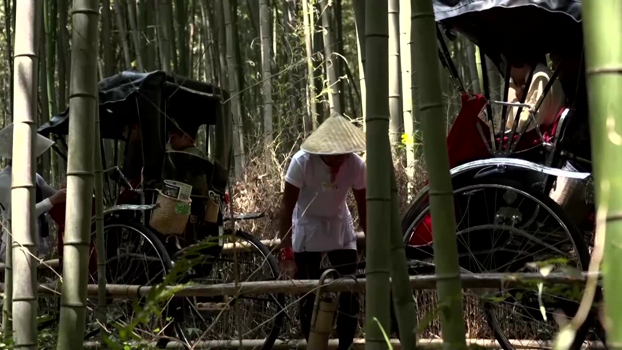 A Japanese rickshaw puller battles blazing heat in Kyoto