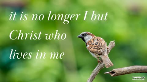 it is no longer I but Christ who lives in me