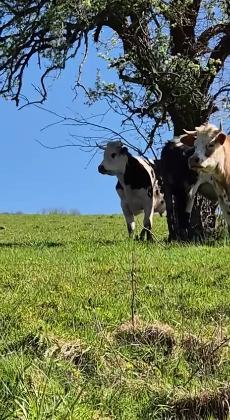 Try to be happy always