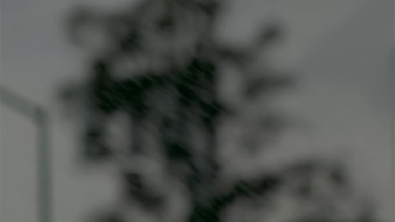 WAV - Almost What Is Home