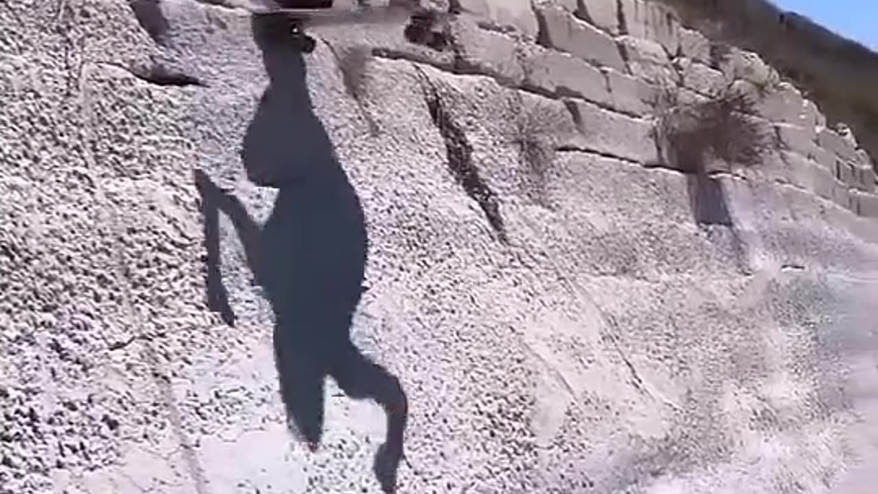 Try not to laugh 🤣