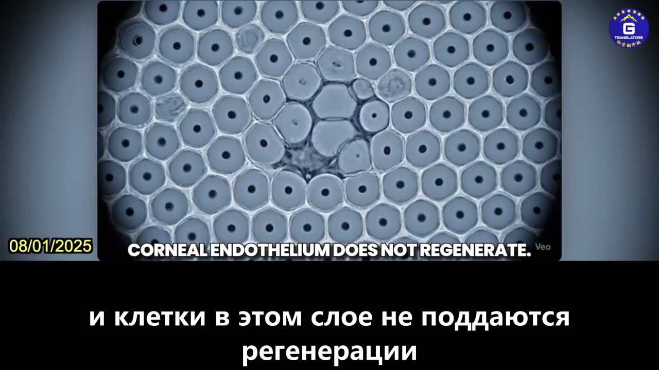 【RU】Вакцина Пфайзер против КОВИД-19 на основе мРНК уничтожает 8,4% невосстанавливающихся...