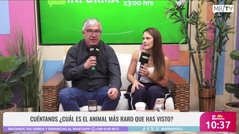 MI MAÑANA 20/01/2026 PARTE 1