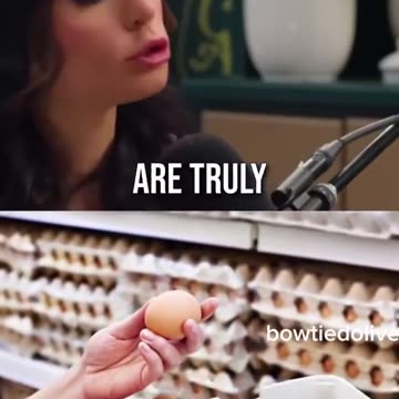 Deceptive Eggs? U.S. Chicken Feed Uses Synthetic Additives to Fake "Farm-Fresh" Yolk Color