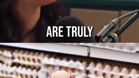 Deceptive Eggs? U.S. Chicken Feed Uses Synthetic Additives to Fake "Farm-Fresh" Yolk Color