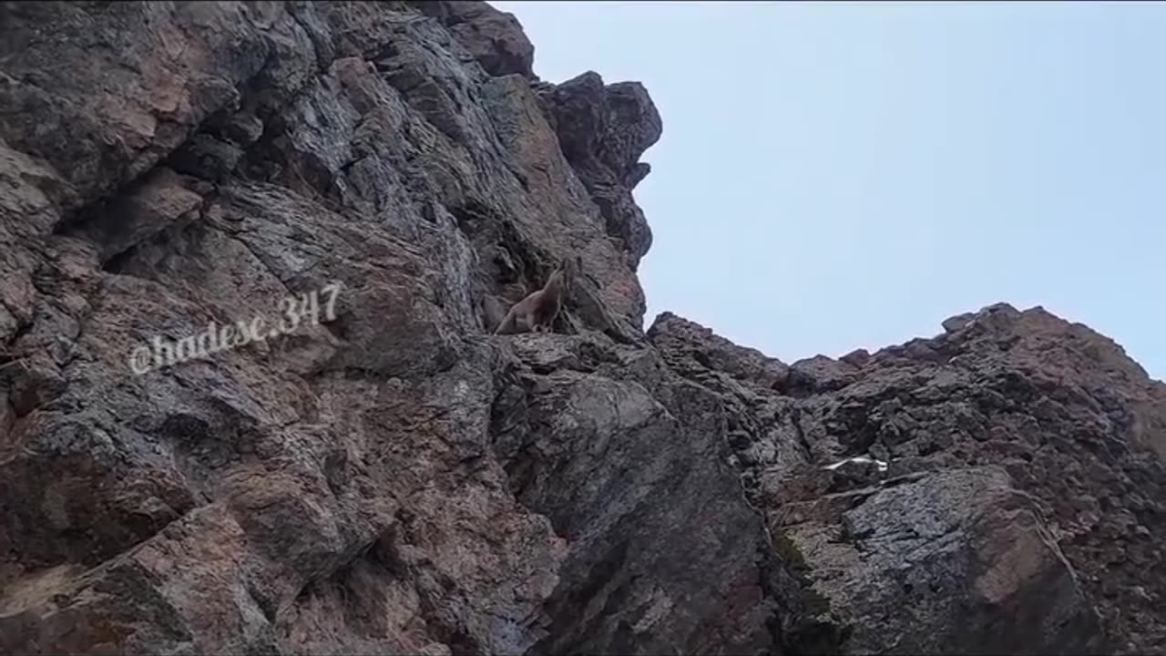 wonders of the world