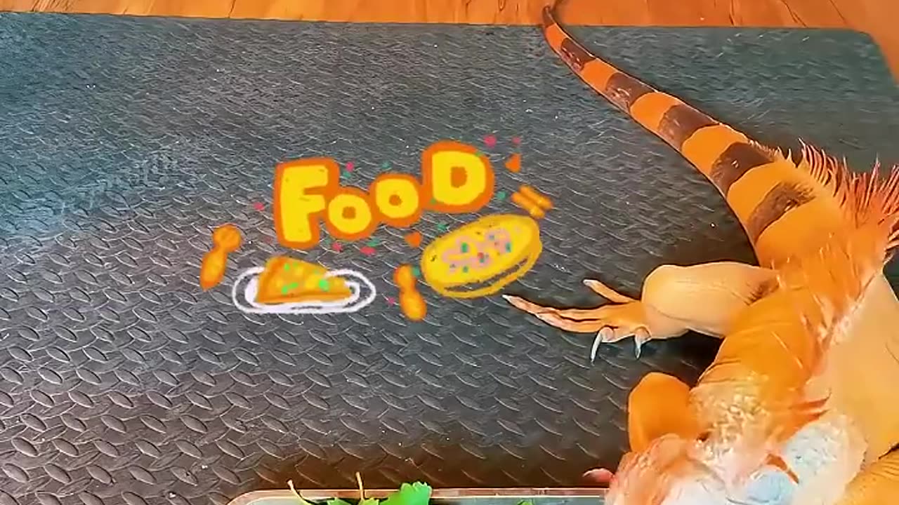 A family rescued an egg and were surprised to find that it was...