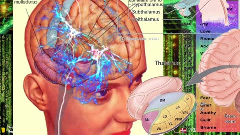 5/13/25 Freakout Tim Sisfist Dooley