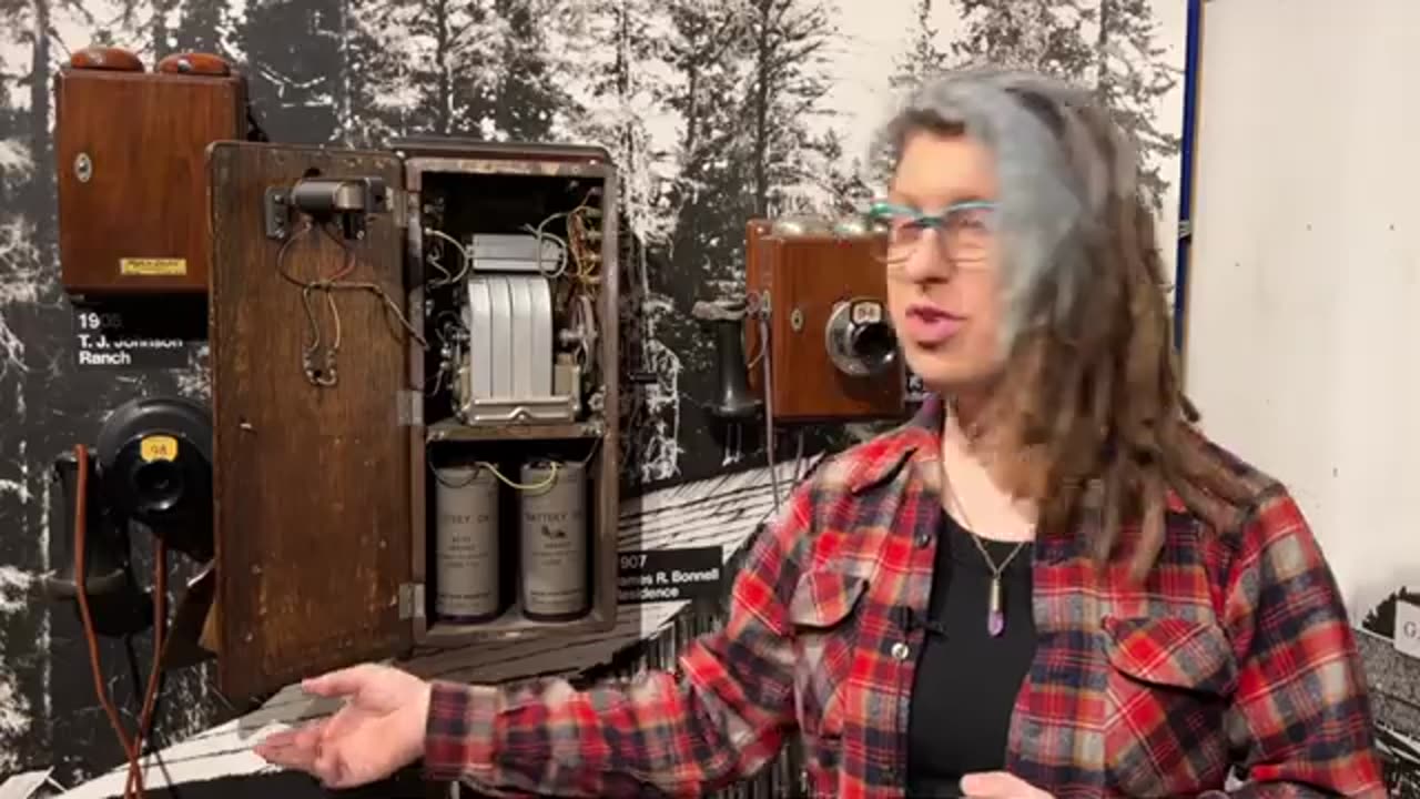 How does a telephone ringer work?