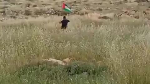 Israeli Settler Kicks Palestinian Flag and than Comes BOOM!!!