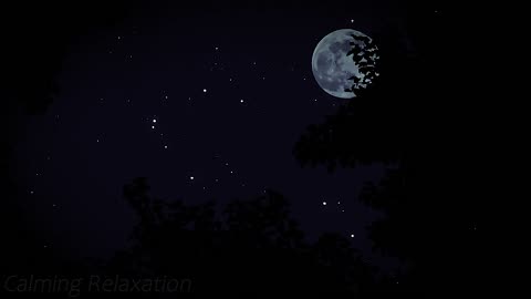 "Night Nature" - Lullaby That Will Help You Fall Asleep Naturally and Get Rid of Insomnia