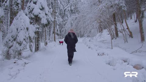 The Causality of Government