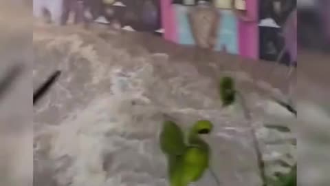 Chuva Provoca caos em SP em janeiro de 2025