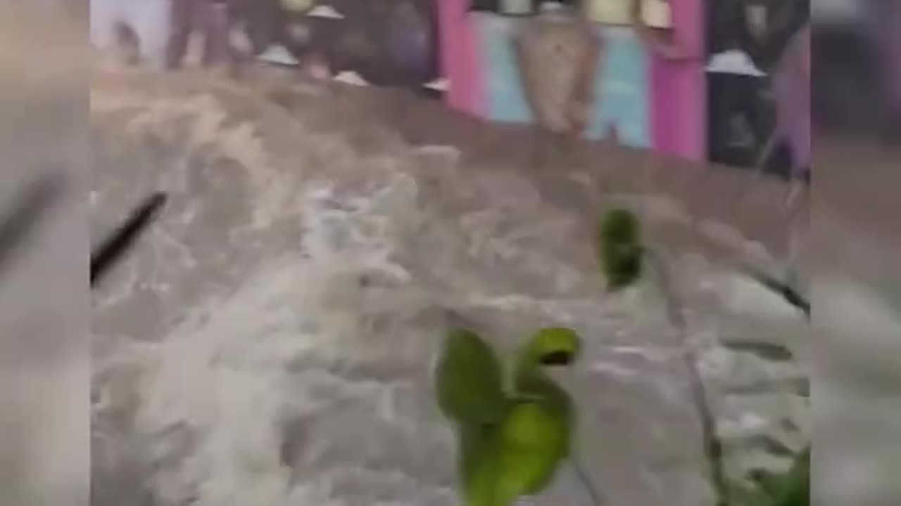 Chuva Provoca caos em SP em janeiro de 2025