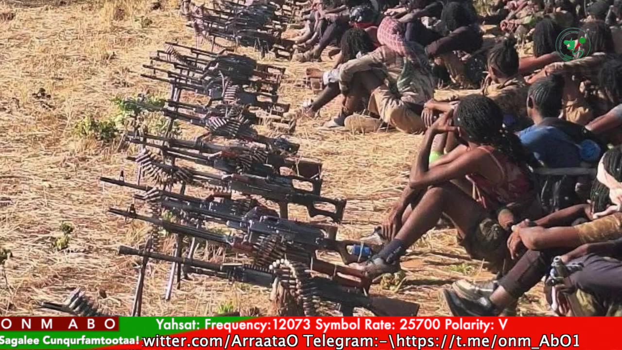 Gabaasa Tarkaanfii ONM-ABO Ebla 4-2024 itti dhiyaadhaa!