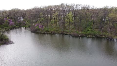 Neighborhood Pond in the Evening from a Drone