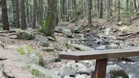 River Flow in the Mountains 🌲💧 | Peaceful Nature Moment
