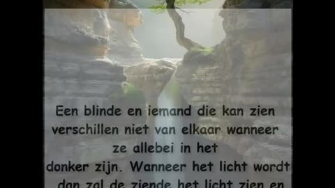 Een blinde