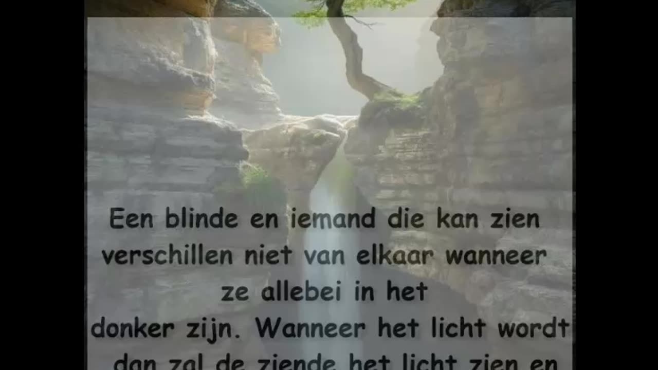 Een blinde