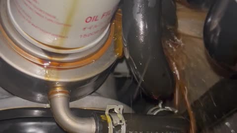 POV: You Found the Leak