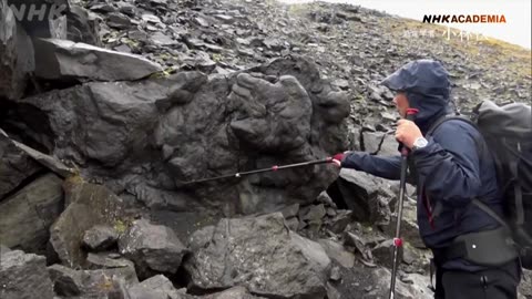 NHKアカデミア 「小林快次（恐竜学者）」