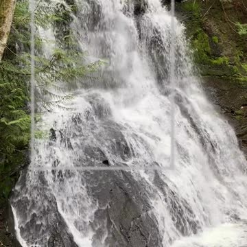 Stable Discovery | Path and Tarot Reading