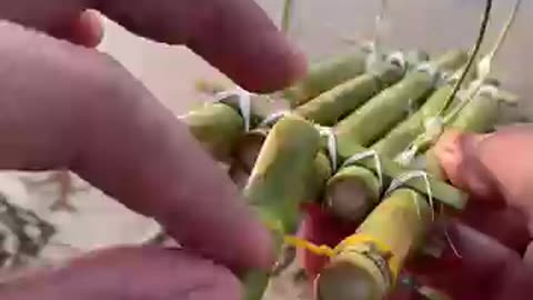 Bamboob boat making | बॉश से गजब बोट बना दी