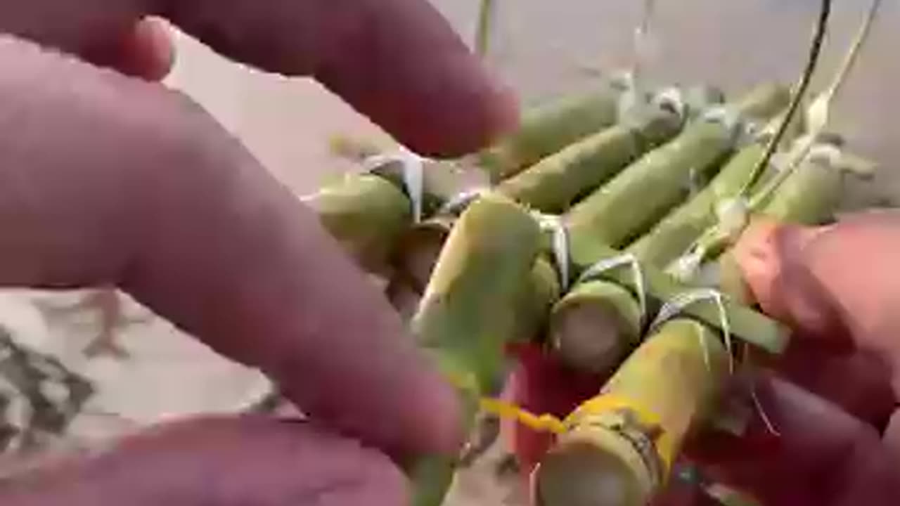 Bamboob boat making | बॉश से गजब बोट बना दी