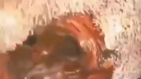 Óxido de Grafeno adentro