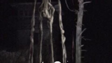 A real alien caught on camera #shortvideo