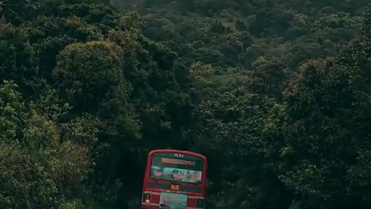 On a beautiful road that never gets boring no matter how many times you go.