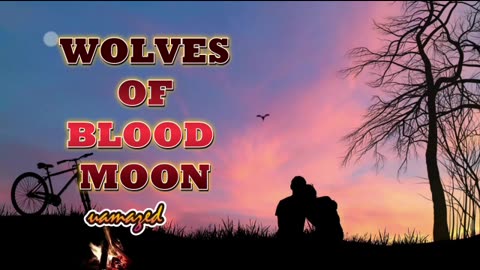 WBM00Nep-----249-50.mp4