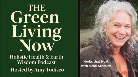 Inside an Herbalist’s Garden: Healing Herbs You Need to Know